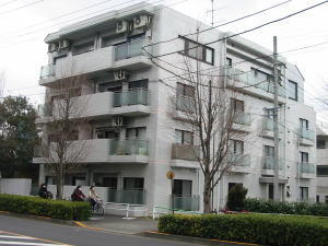写真あり