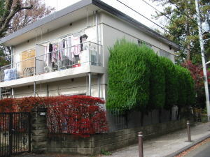 写真あり
